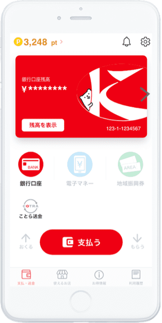 Payどん