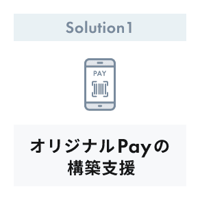 Solution1 オリジナルPayの構築支援